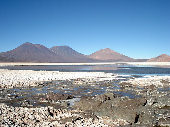 Lithium brines at the Salar de la Isla, Atacama Region, Chile